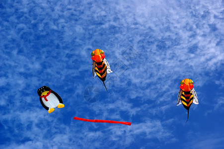 Kite - 蜜蜂和企鹅图片素材