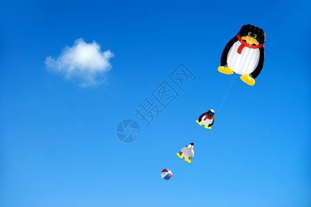 Kite - 企鹅图片素材