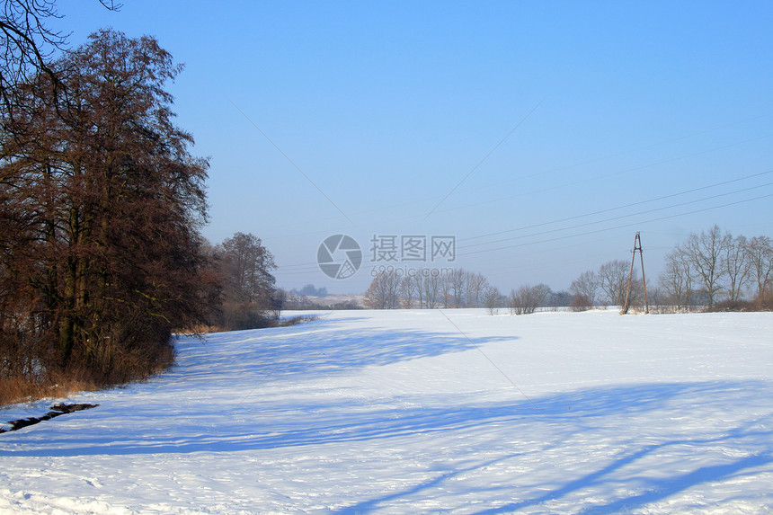 冬季风景树木日光冻结抛光森林草地荒野图片