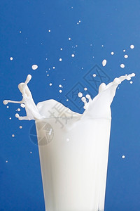 牛奶奶飞溅奶牛奶制品玻璃蓝色冷藏背景图片