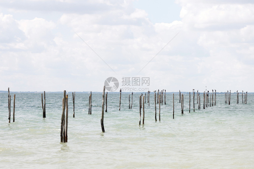 海水平海洋图片