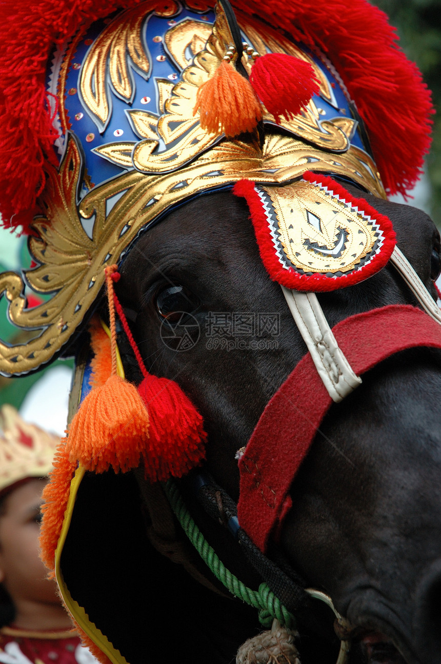 伦马音乐社会节日动物黑色遗产艺术风俗旅行文化图片