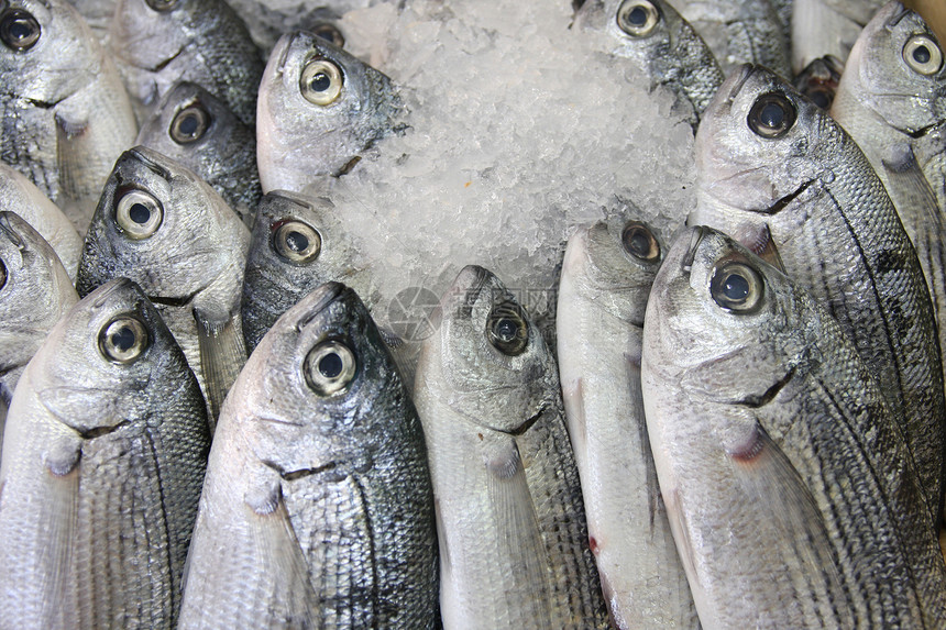 冰上新鲜鱼烹饪销售海鲜渔业菜单食物厨房店铺荒野市场图片