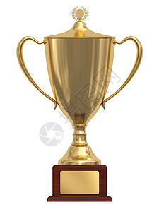 金奖杯 用木头祭拜的金杯成就庆典白色愿望竞赛金属勋章杯子背景图片