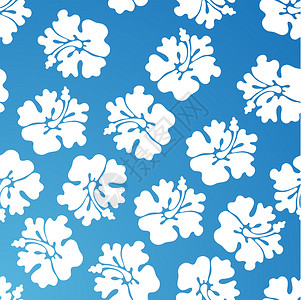 Hibiscus 模式木槿热带墙纸植物插图花朵蓝色背景图片