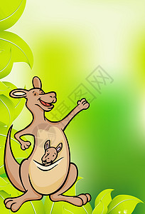 袋鼠家庭艺术插图微笑动物园卡通片森林叶子树叶丛林绿色背景图片