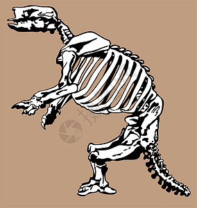 恐龙化石和骨头挖掘化石树懒插图生物动物恐龙艺术考古学骨骼背景图片