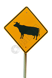 动物标志孤立的牲畜过境标志背景