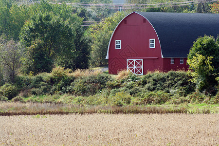 红营农场乡村树木风光农业建筑田园红色场地绿色高清图片