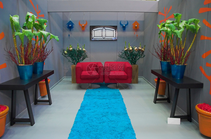 室内地毯蓝色家庭博览会红色建筑学扶手椅房间房子建筑图片