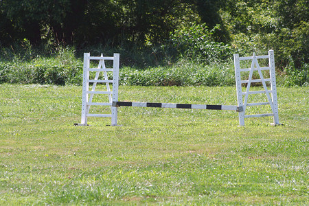 马跳跃棕色运动栅栏竞赛动物障碍竞技马术女孩们女性背景图片