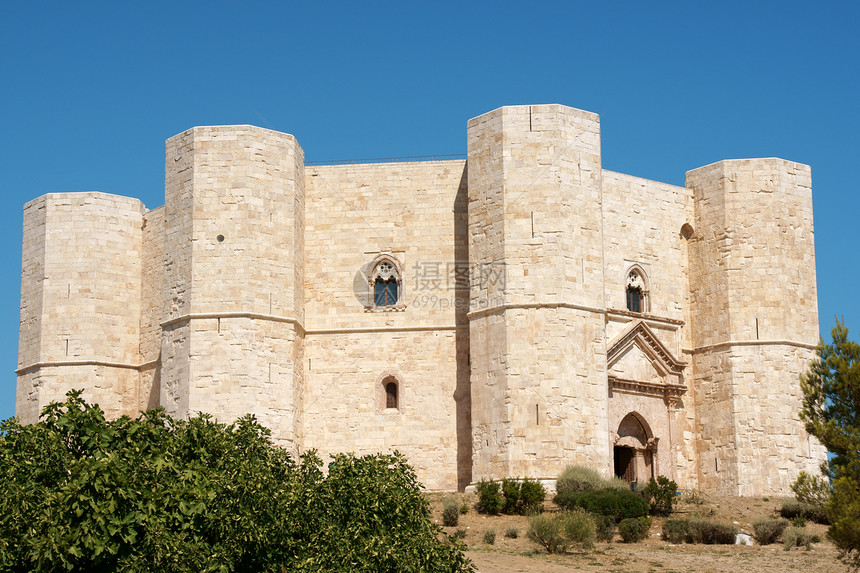 阿普利亚八角形历史城堡建筑学堡垒爬坡石头图片