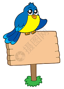 木板标题木质标志和坐鸟插画