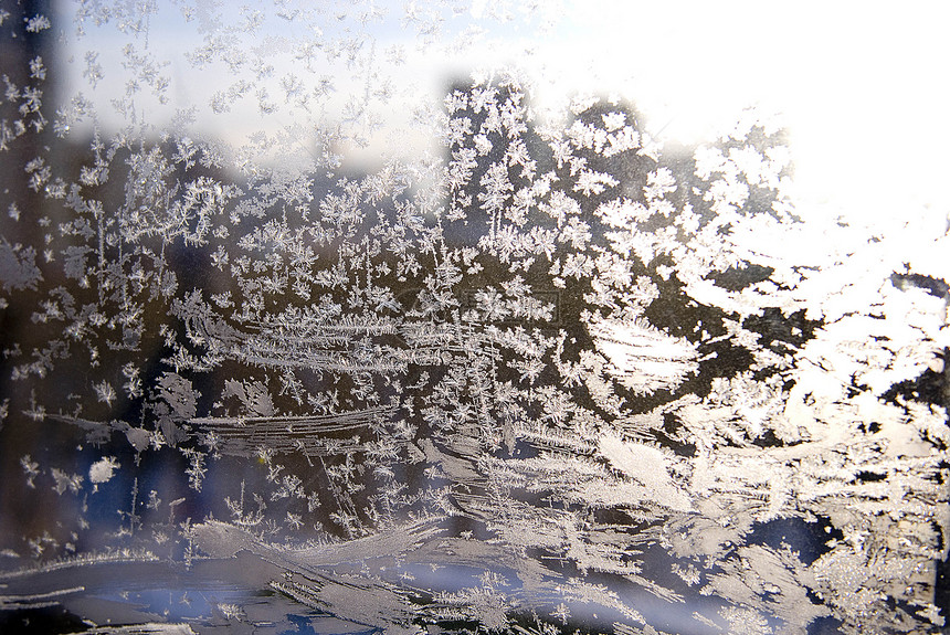 冰霜模式美丽装饰品水平宏观框架边界玻璃暴风雪蓝色水晶图片