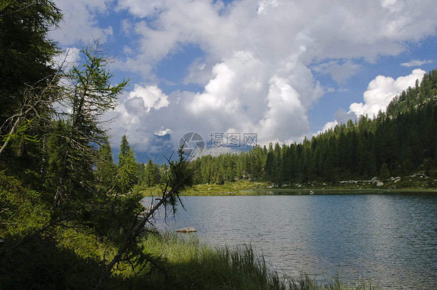 意大利阿尔卑斯山的湖景风景树木高山反射绿色多云荒野木头池塘山脉图片