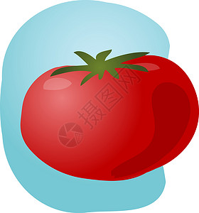 番茄图插图藤蔓维生素矿物质草图艺术剪贴蔬菜手绘红色健康背景图片