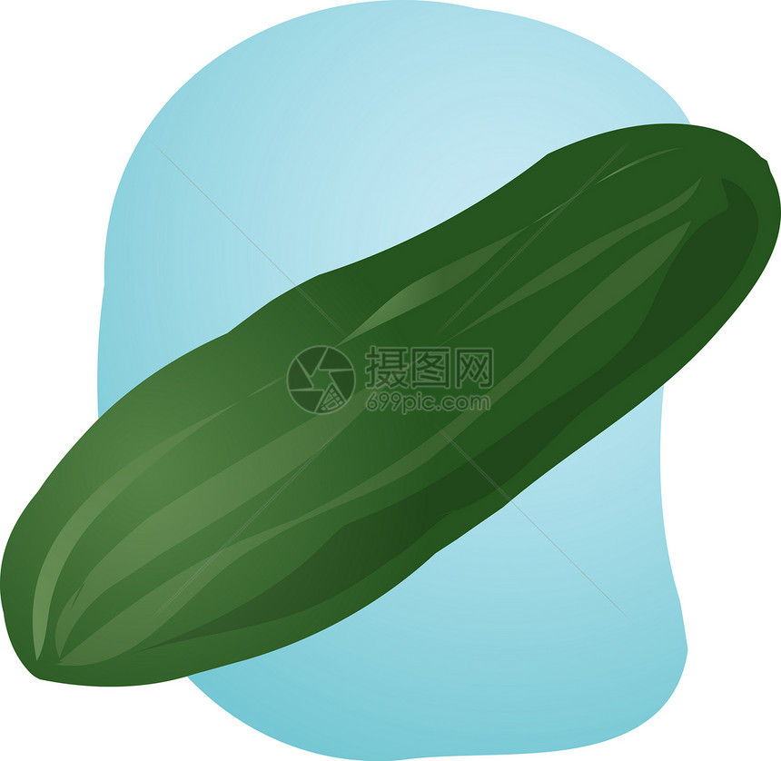 黄瓜图矿物质营养食物手绘健康插图草图蔬菜维生素线条图片