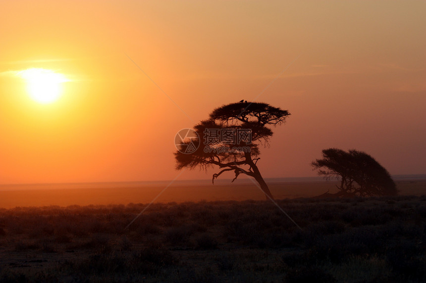 纳米比亚的日出图片