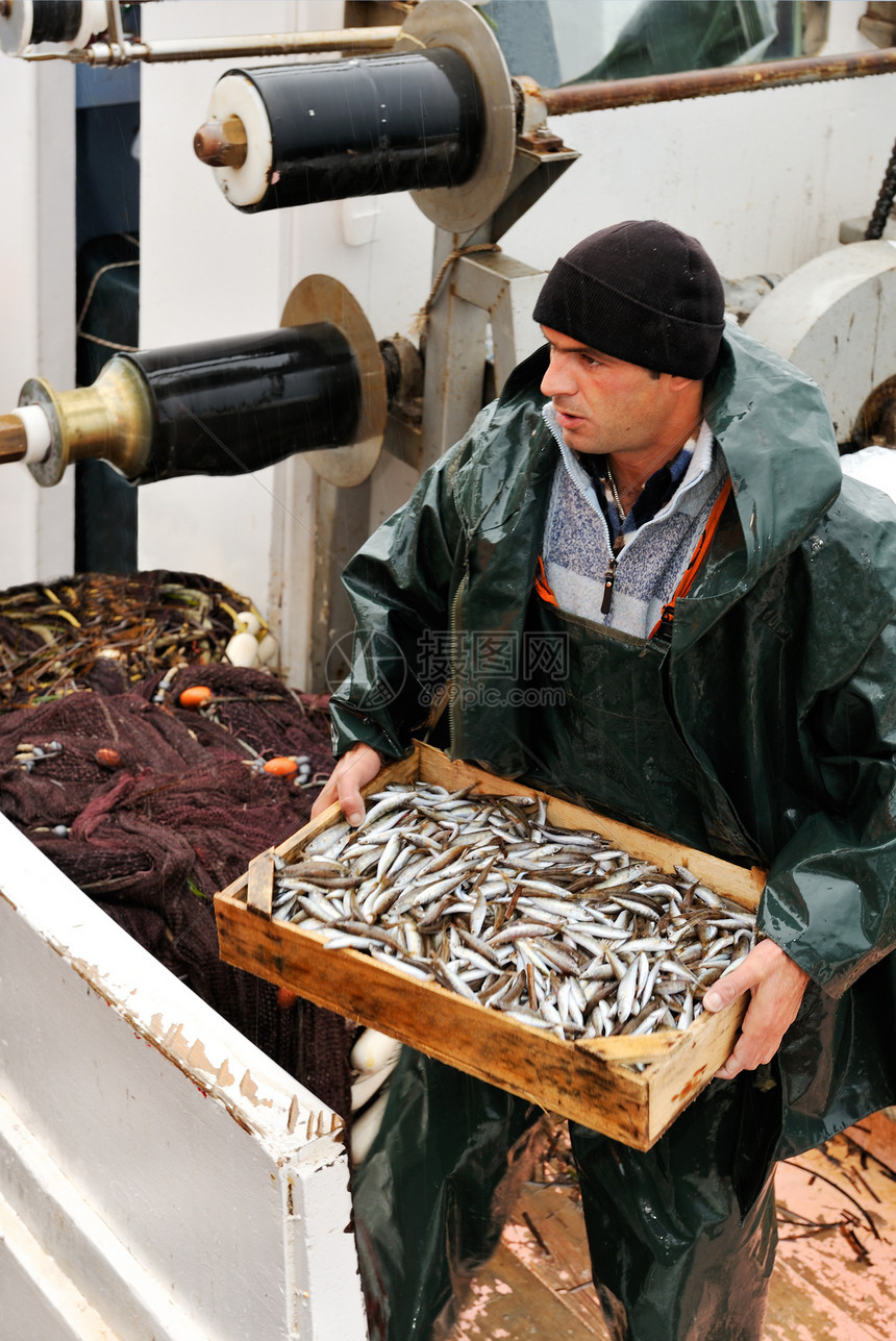 带鱼的渔夫箱行动雨滴送货工作男性潜水雨衣服装天气成人图片