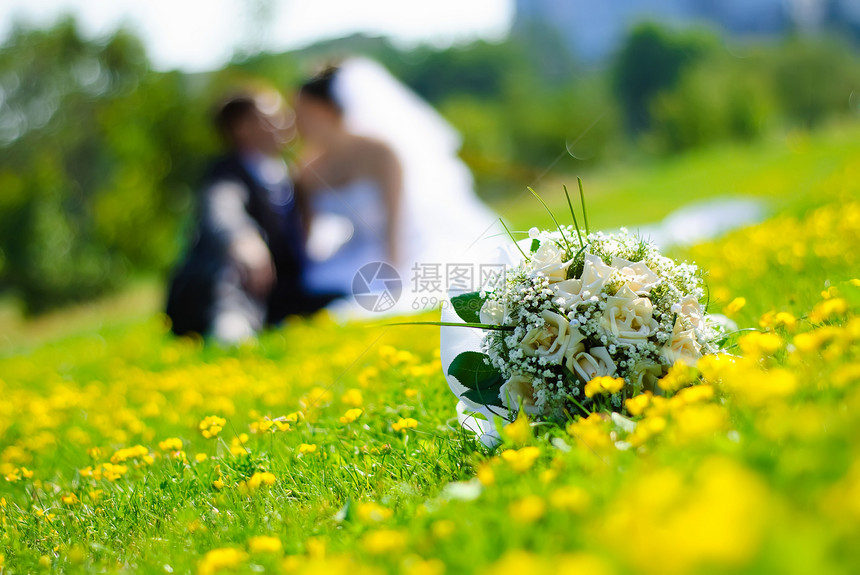 婚前花束花朵家庭白色绿色女性新人新娘草地妻子丈夫图片