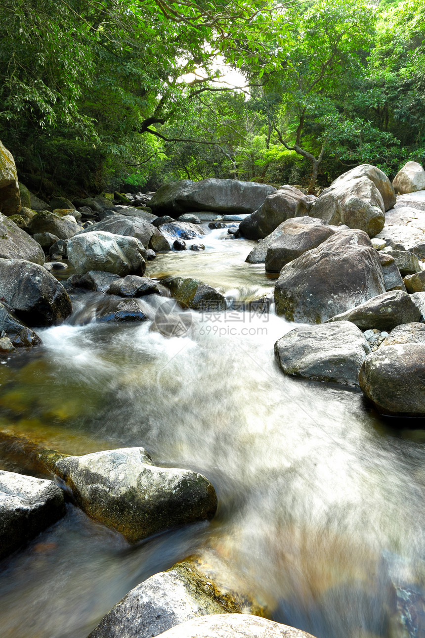 森林中的泉水丛林石头热带环境叶子公园溪流玻璃力量森林图片