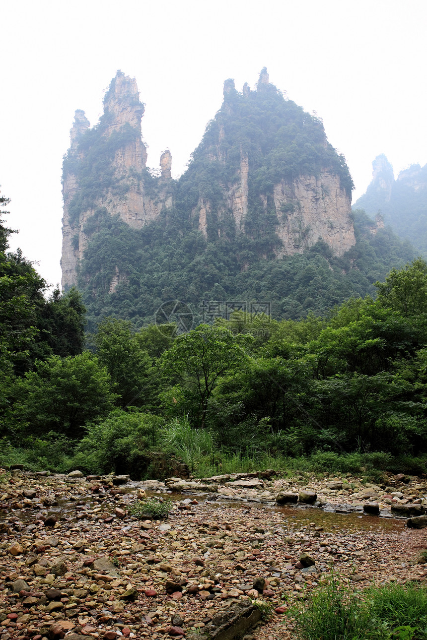 中国国家森林公园     张贾吉悬崖树木世界公吨国家风景岩石遗产公园森林图片