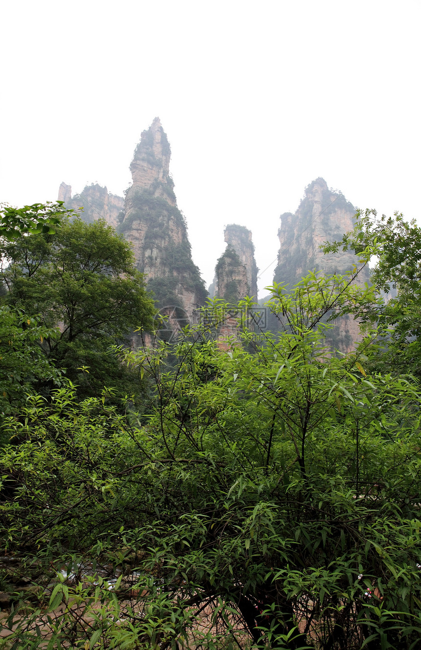 中国国家森林公园     张贾吉遗产国家公园树木悬崖世界公吨森林风景多云图片