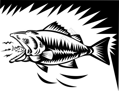 大鱼吃小鱼捕食者木刻动物黑与白低音游泳猎物生物插图背景