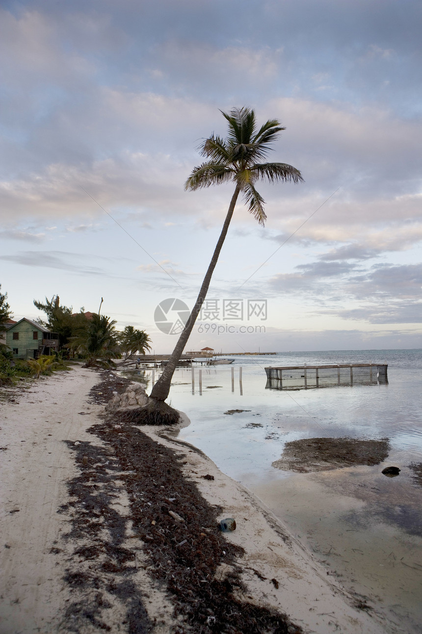 浅水中的鱼粉和Egret假期阳光游客海洋白鹭天空地平线天堂支撑旅行图片