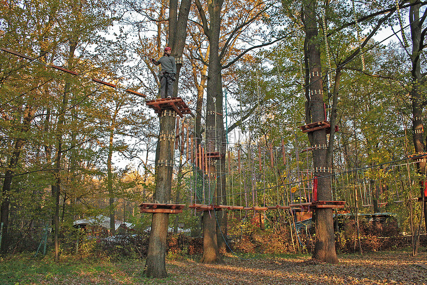 攀树树肾上腺素树木运动绳索极限乐趣公园树林障碍图片