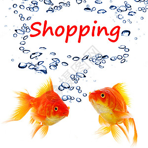 购物顾客宠物店铺购物中心商业市场营销气泡金鱼广告背景图片