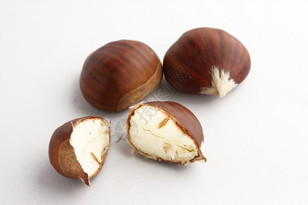 栗子水果种子季节坚果食物季节性棕色板栗白色背景图片