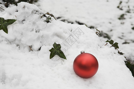 外面的白雪中 紧贴着红色圣诞小说背景图片