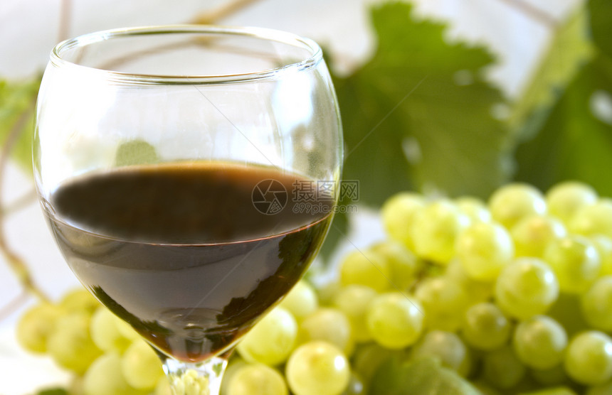 葡萄酒和葡萄葡萄属藤蔓白色酒厂红色葡萄园树叶玻璃水果饮料图片
