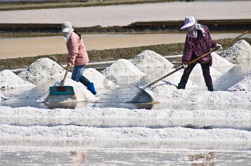 盐碱海岸商业支撑爬坡海洋生产水池工人盐水旅行图片