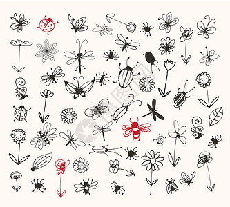 用于设计设计的昆虫草图收藏团体野生动物蝴蝶生物甲虫动物鼻涕虫白蚁插图蜜蜂设计图片