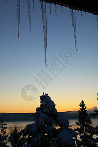 冬季日落滑雪树木天空松树云杉太阳背景图片