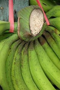 香蕉黄色热带黑色水果背景图片