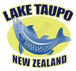 新西兰州Taupo湖背景图片
