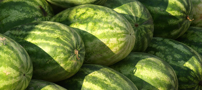 出售西瓜营养水果健康农业食物白色背景图片