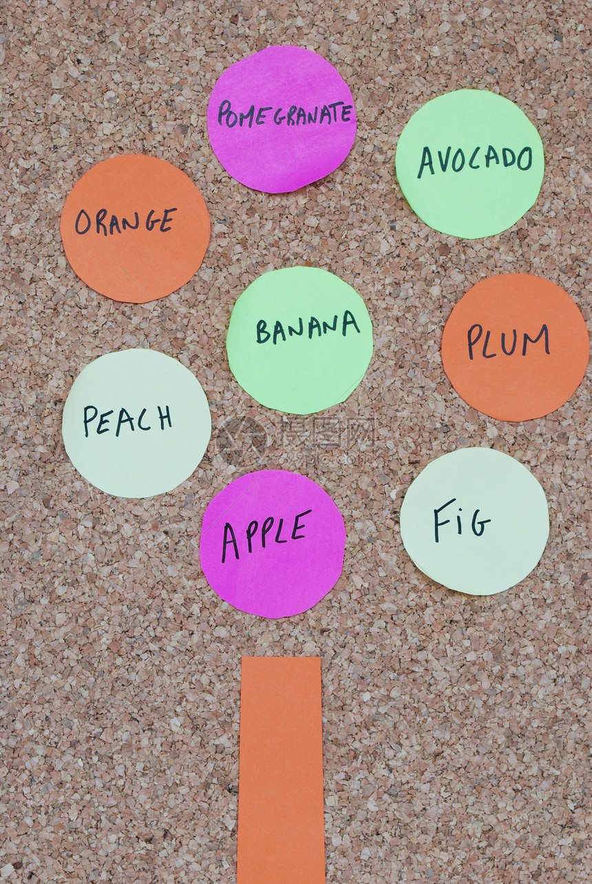 在多彩的软木板上的树果概念圆圈植物群软木环境木板紫色李子关键词香蕉邮政图片