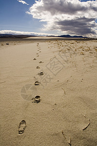 沙漠中的 Foror 指纹背景图片