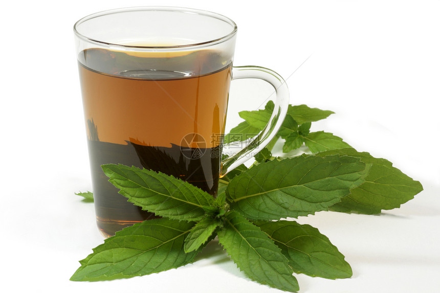 聚粉茶医疗疗法药品自然饮料树叶植物茶杯草本薄荷图片