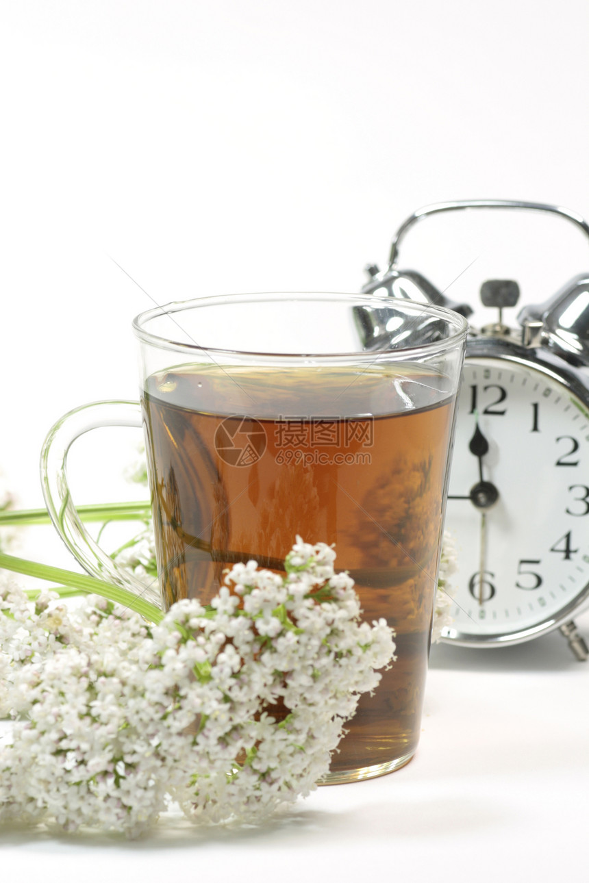 谷地茶医疗草本植物闹钟自然疗法药物睡眠草药茶杯草本图片