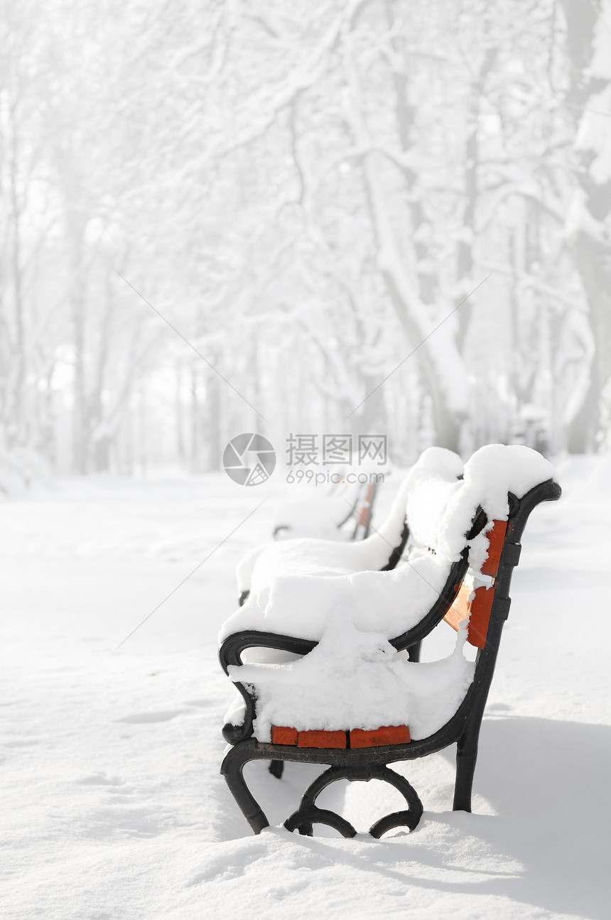 雪中弹道长椅雪景孤独小路旅行木头公园单人森林场景图片