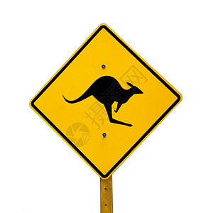 袋鼠标志危险亮色地区警告反光板黑色乡村动物背景图片