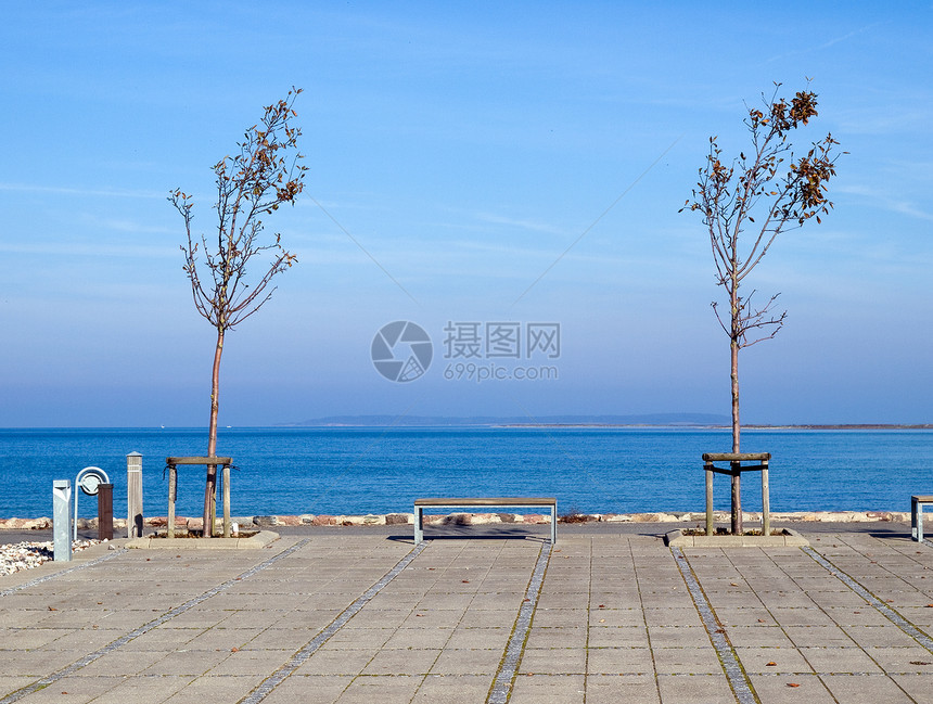 海洋的年轻新树生长园艺树苗生活假期环境气候海岸线旅行叶子图片