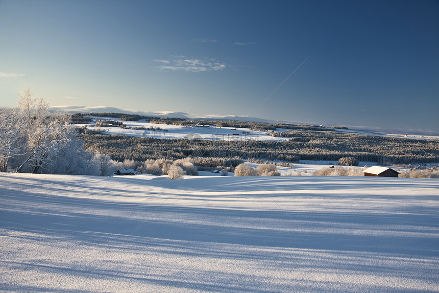 美丽的冬季风景天气冻结荒野季节天空水晶阳光森林木头小路图片