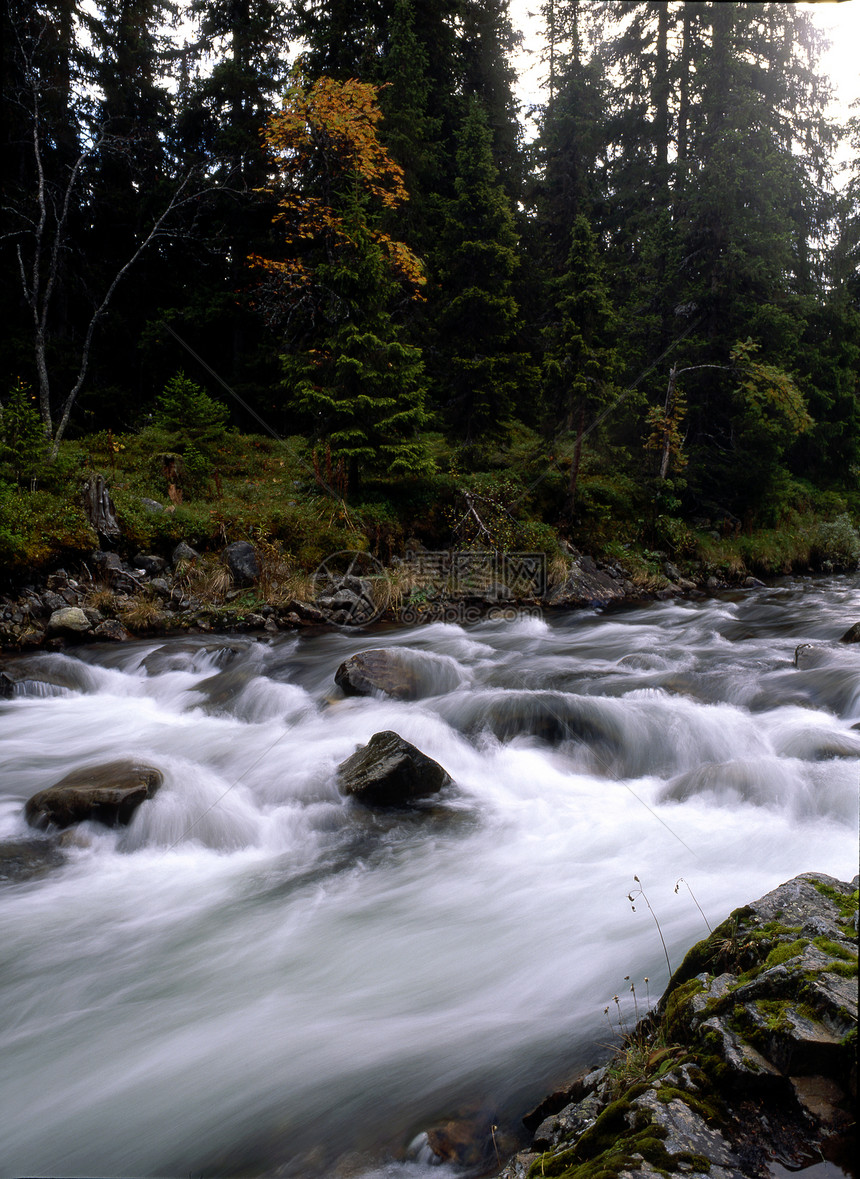 流动河流风景溪流森林瀑布叶子蓝色旅行公园热带石头图片