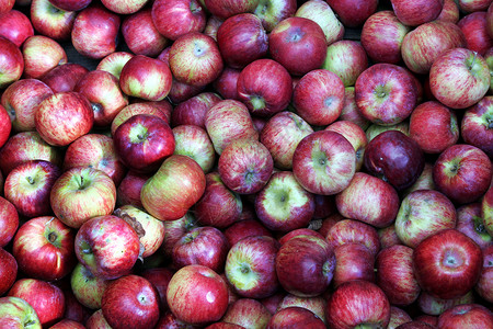 苹果健康食物背景图片
